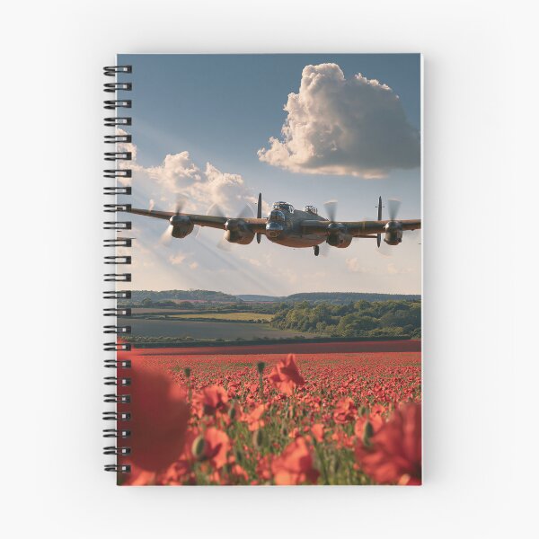 Item preview, Battle Of Britain Memorial Flight Lest We Forget designed and sold by Skyframe Aviation.
