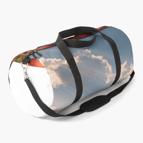 Item preview, Battle Of Britain Memorial Flight Lest We Forget designed and sold by Skyframe Aviation.