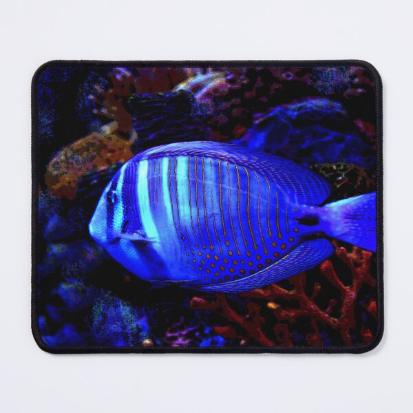 Item preview, Swimming in the coral reef. designed and sold by Dlt1981.