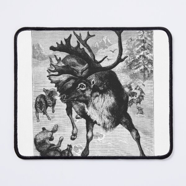 Item preview, Vintage Reindeer Fending Off Wolves Engraving designed and sold by Antique Science Press.