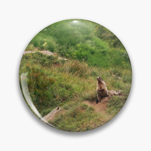 Item preview, Marmot on the Mountain Trail designed and sold by alicjamiekina.