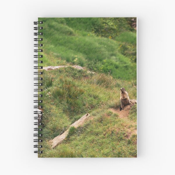 Item preview, Marmot on the Mountain Trail designed and sold by alicjamiekina.