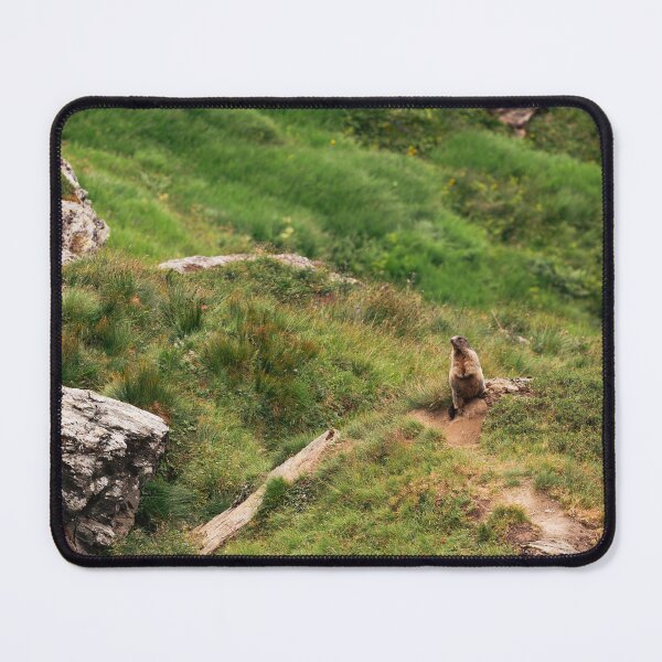 Item preview, Marmot on the Mountain Trail designed and sold by alicjamiekina.