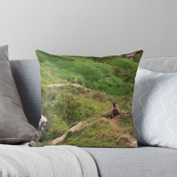 Item preview, Marmot on the Mountain Trail designed and sold by alicjamiekina.