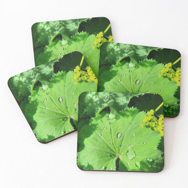 Item preview, Raindrops on beautiful vibrant green leaf designed and sold by FoxPix.