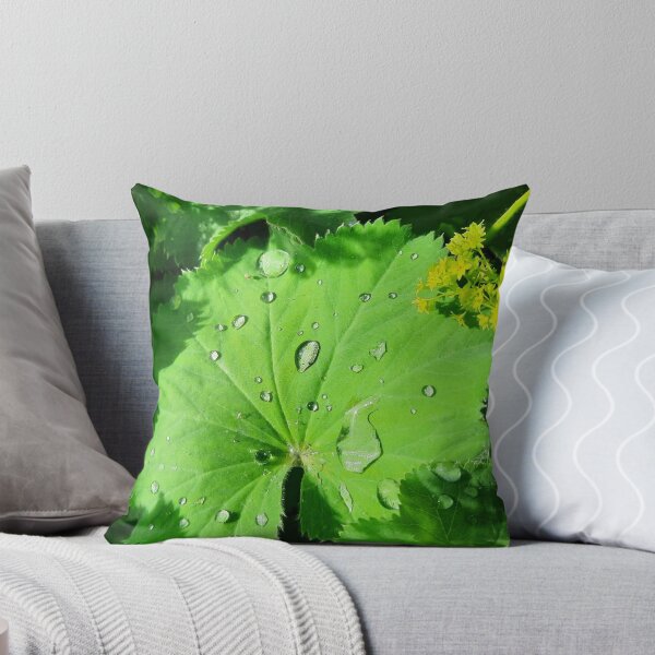 Item preview, Raindrops on beautiful vibrant green leaf designed and sold by FoxPix.