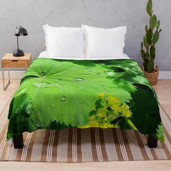 Item preview, Raindrops on beautiful vibrant green leaf designed and sold by FoxPix.