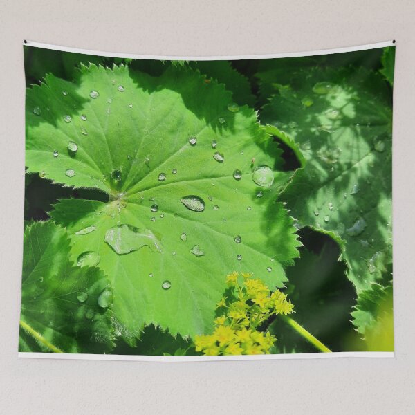 Item preview, Raindrops on beautiful vibrant green leaf designed and sold by FoxPix.