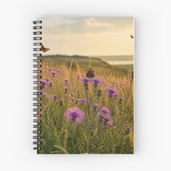 Item preview, Butterflies & Wild Thistles at Golden Hour | British Countryside Meadow designed and sold by ThatSurreyLife.