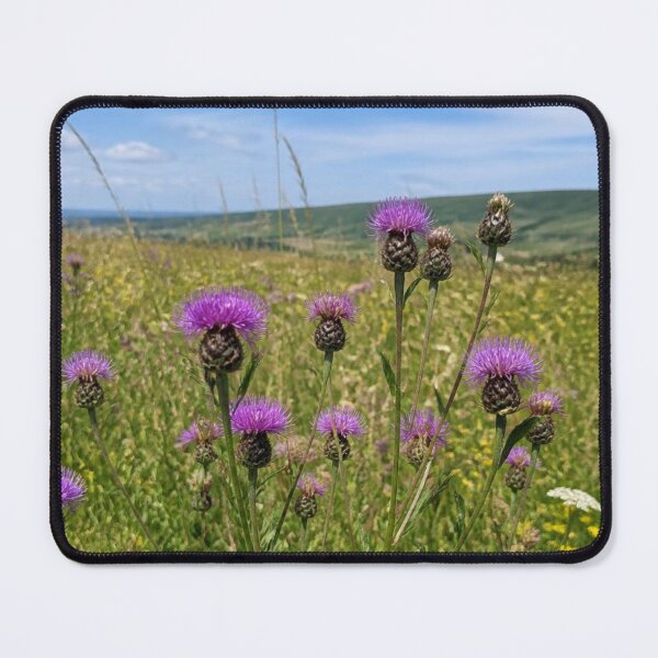 Item preview, Purple Wild Thistles | British Wildflower Meadow Countryside designed and sold by ThatSurreyLife.