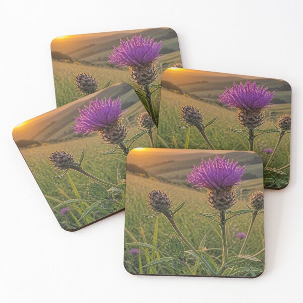 Item preview, Purple Thistle Sunset | Surrey Hills Golden Hour Countryside designed and sold by ThatSurreyLife.