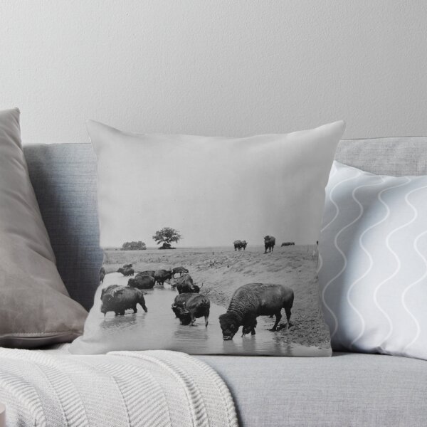 Item preview, 1905 Wild American Buffalo on the prairie at water western vintage black and white photographic art print designed and sold by Astrid Arkhangelsky.