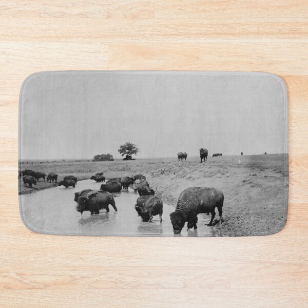 Item preview, 1905 Wild American Buffalo on the prairie at water western vintage black and white photographic art print designed and sold by Astrid Arkhangelsky.