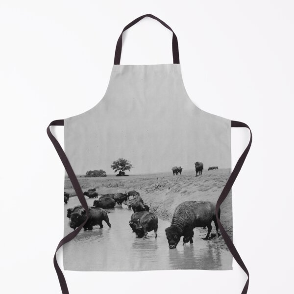 Item preview, 1905 Wild American Buffalo on the prairie at water western vintage black and white photographic art print designed and sold by Astrid Arkhangelsky.