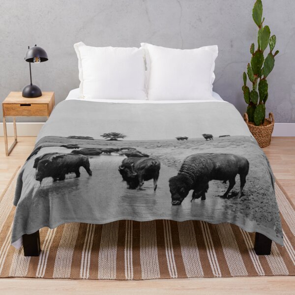 Item preview, 1905 Wild American Buffalo on the prairie at water western vintage black and white photographic art print designed and sold by Astrid Arkhangelsky.