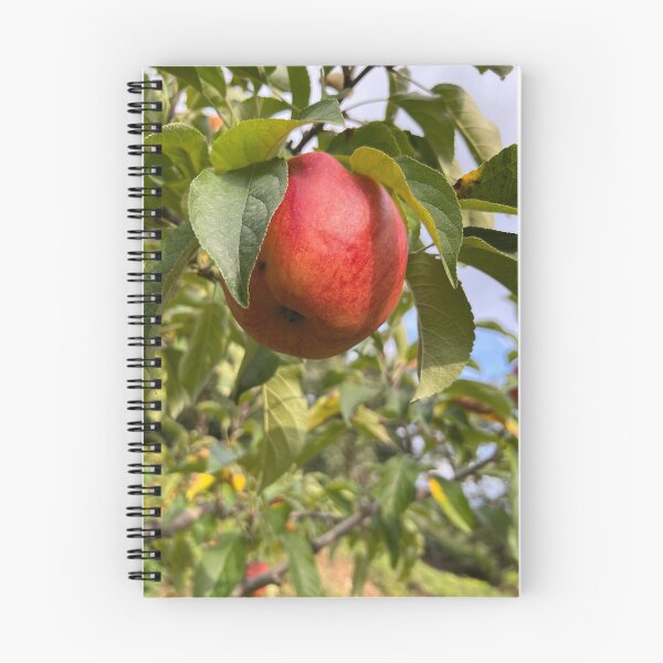 Item preview, Ripe Red Apple Growing on a Tree Among Green Leaves designed and sold by seunghus.