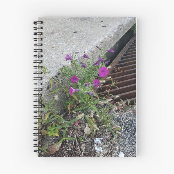Item preview, Storm Drain Petunias designed and sold by concretebotany.