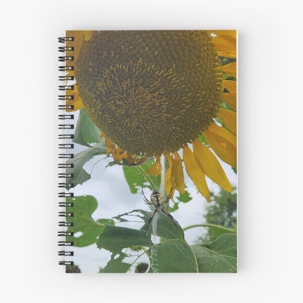 Item preview, Sunflower and Garden Spider designed and sold by Treasures and Tales.
