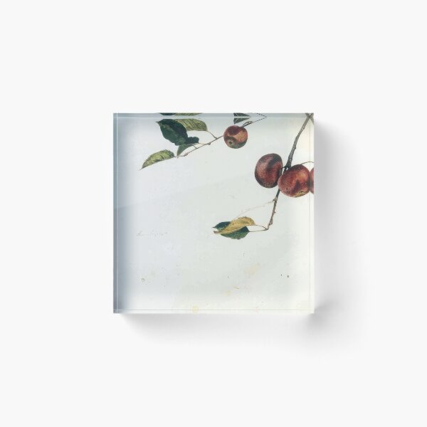 Item preview, andrew wyeth designed and sold by YasminaGifts.