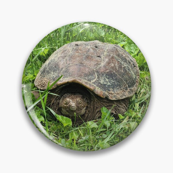 Item preview, Snapping Turtle designed and sold by Treasures and Tales.