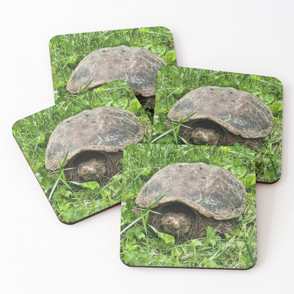 Item preview, Snapping Turtle designed and sold by Treasures and Tales.