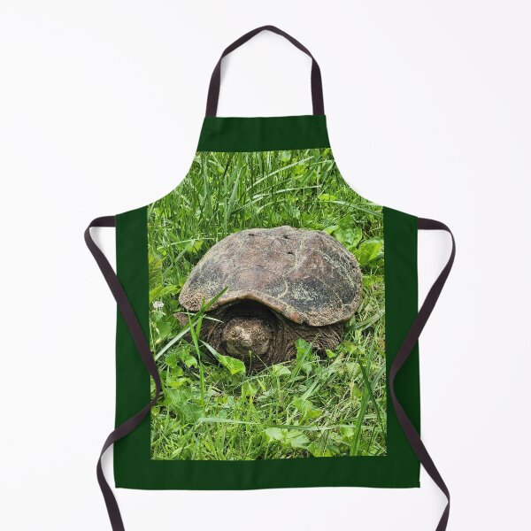 Item preview, Snapping Turtle designed and sold by Treasures and Tales.