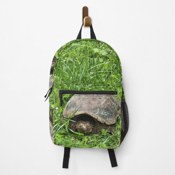 Item preview, Snapping Turtle designed and sold by Treasures and Tales.