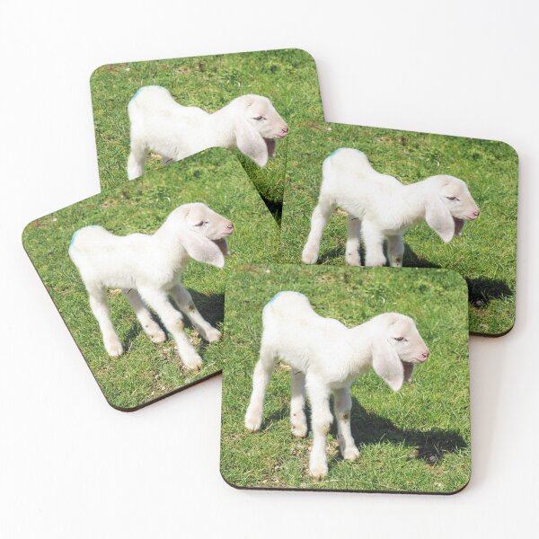 Item preview, little lamb designed and sold by Enriscatto.