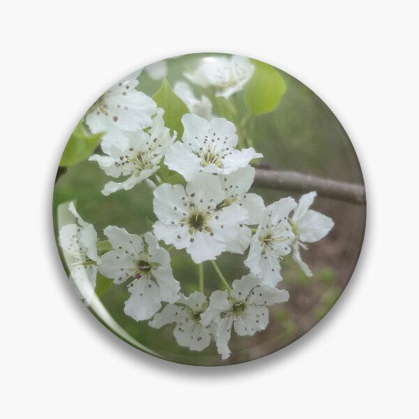 Item preview, White blossoms in spring  designed and sold by TaisiasCaptures.
