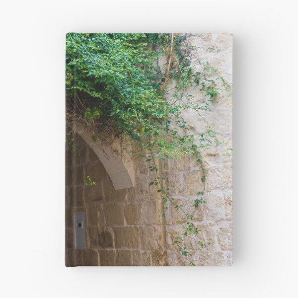 Item preview, Green Vines Over Stone Archway and Wrought Iron Gate in Historic Narrow Alleyway designed and sold by Nmallia.