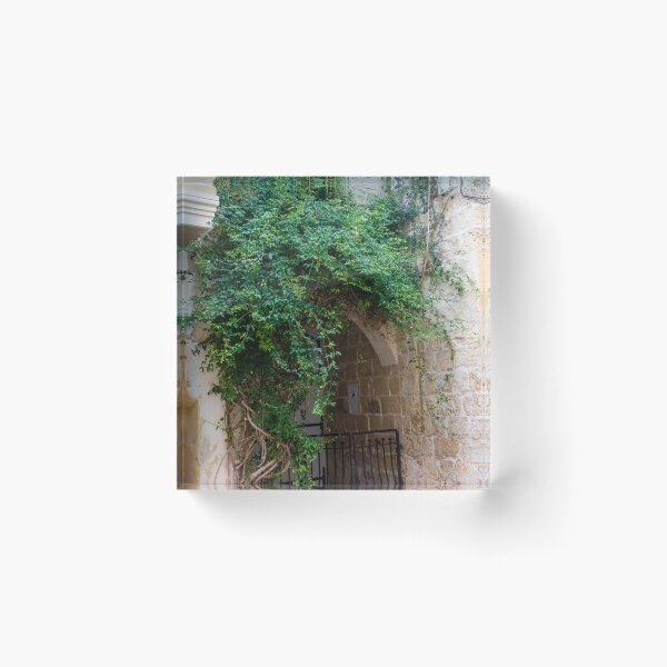 Item preview, Green Vines Over Stone Archway and Wrought Iron Gate in Historic Narrow Alleyway designed and sold by Nmallia.