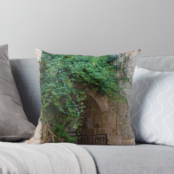 Item preview, Green Vines Over Stone Archway and Wrought Iron Gate in Historic Narrow Alleyway designed and sold by Nmallia.