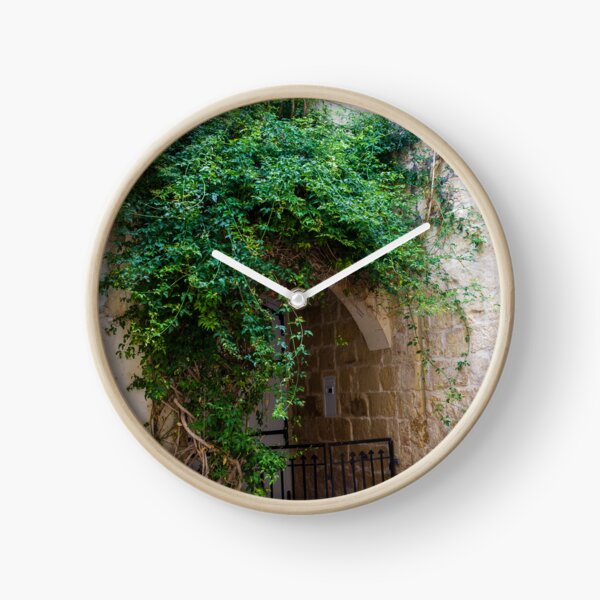 Item preview, Green Vines Over Stone Archway and Wrought Iron Gate in Historic Narrow Alleyway designed and sold by Nmallia.