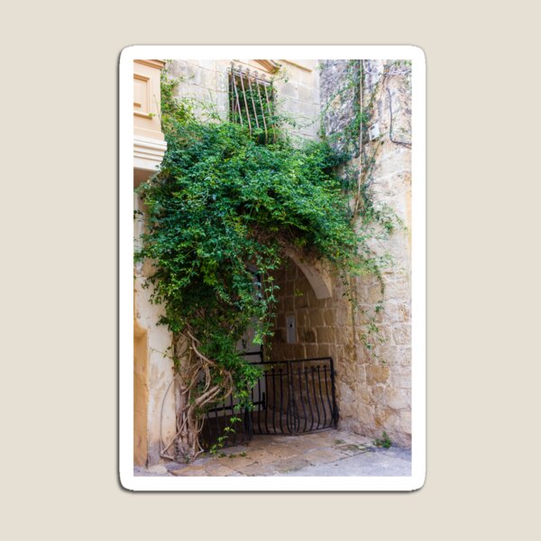 Item preview, Green Vines Over Stone Archway and Wrought Iron Gate in Historic Narrow Alleyway designed and sold by Nmallia.