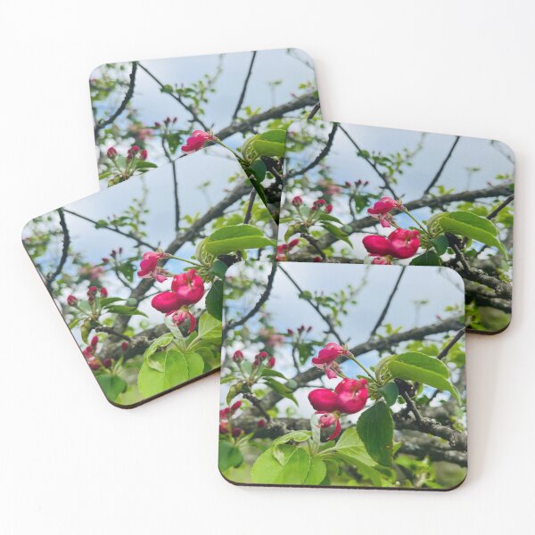 Item preview, Blushing branches designed and sold by TaisiasCaptures.