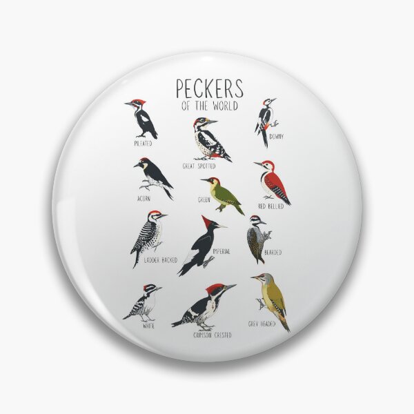 Item preview, Woodpeckers of the World Vintage Bird Study designed and sold by Krasnovaovaova.