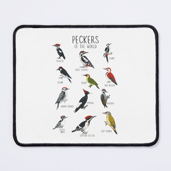 Item preview, Woodpeckers of the World Vintage Bird Study designed and sold by Krasnovaovaova.