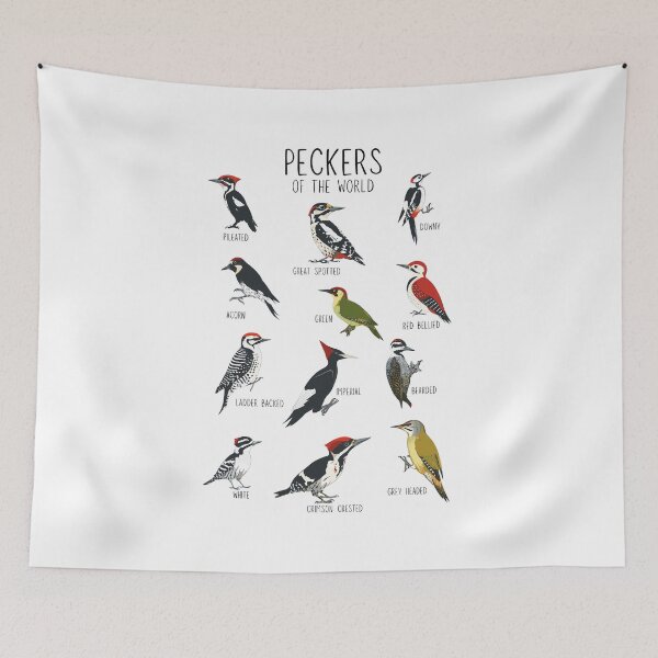 Item preview, Woodpeckers of the World Vintage Bird Study designed and sold by Krasnovaovaova.