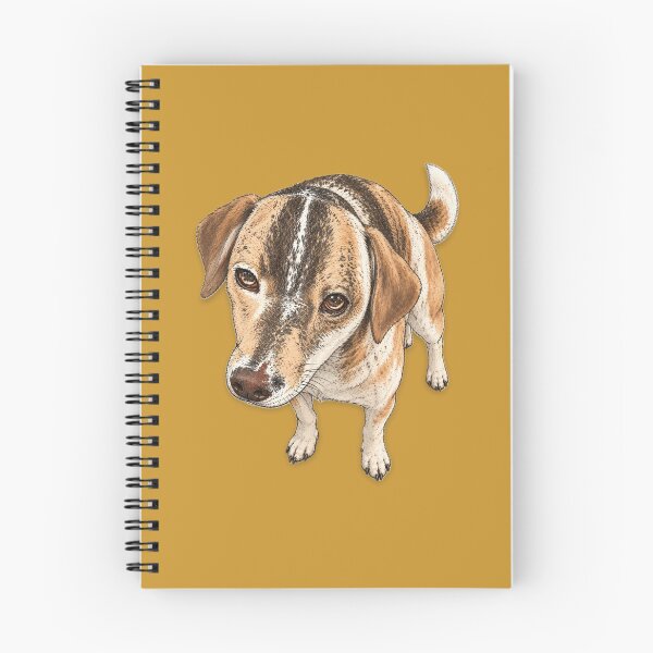 Item preview, Toffee designed and sold by CitydwellerX.