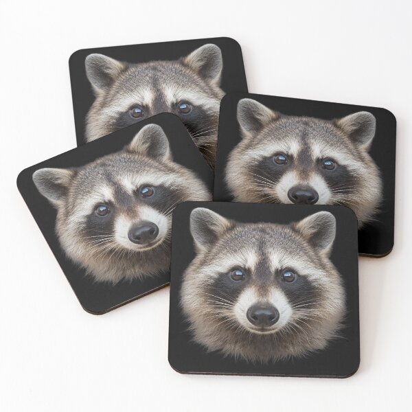 Item preview, Raccoon Face Portrait Cute Wildlife Animal Art designed and sold by cabana.space.