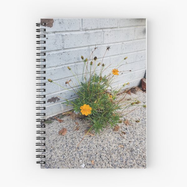 Item preview, Sidewalk Sulfur Cosmos  designed and sold by concretebotany.