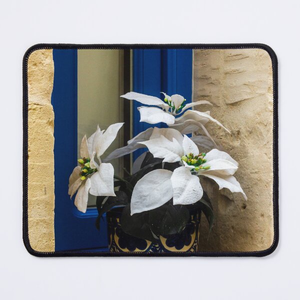 Item preview, Decorative White Plant in Blue Ceramic Pot on Window Sill Against Yellow Brick Wall Facade designed and sold by Nmallia.