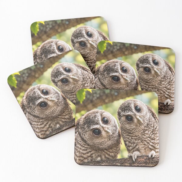 Item preview, Curious Owl Duo – Cute Funny Owls designed and sold by Marina Langer Wildlife Art..