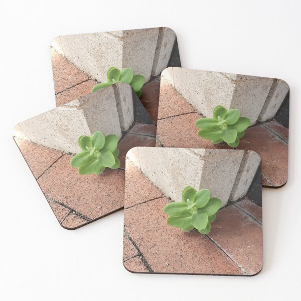Item preview, Sidewalk Sedum designed and sold by concretebotany.