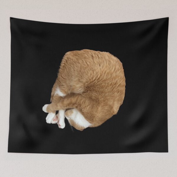 Item preview, Brent the Spinning Cat Out of Control Cat Donut Orange Muffin Man designed and sold by aligchi.