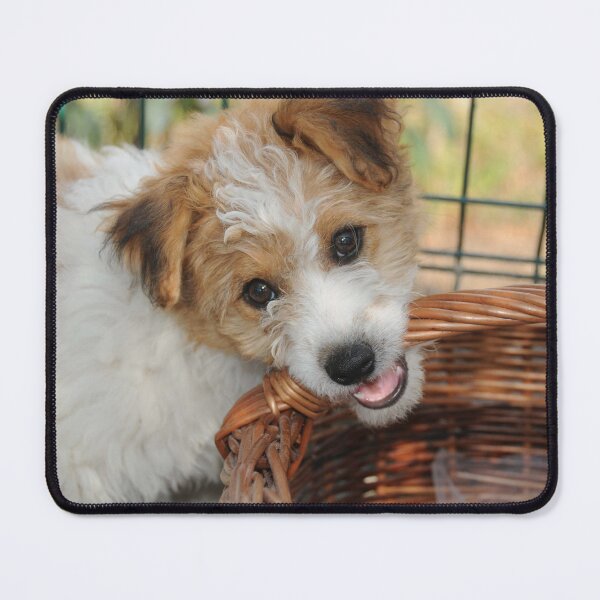 Item preview, Playful Dog Chewing a Basket designed and sold by MiCarmoart.