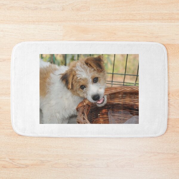 Item preview, Playful Dog Chewing a Basket designed and sold by MiCarmoart.