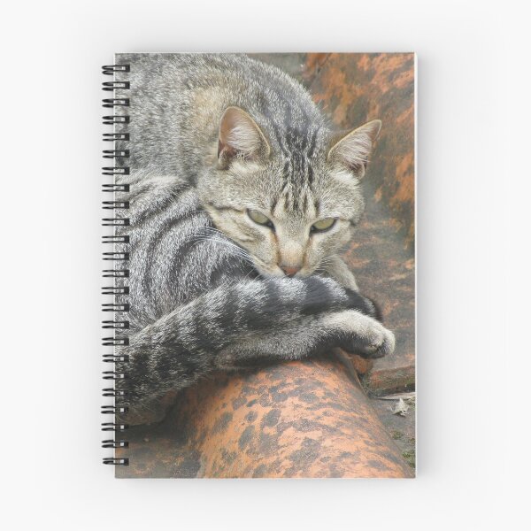 Item preview, Cat on a Rooftop designed and sold by MiCarmoart.