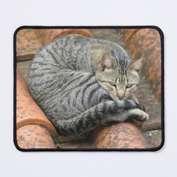 Item preview, Cat on a Rooftop designed and sold by MiCarmoart.