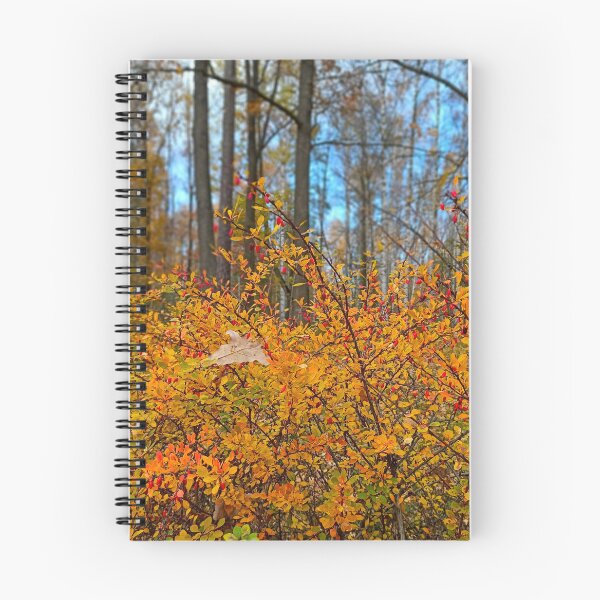 Item preview, Golden Autumn Forest: Vibrant Wild Barberry Bush designed and sold by Levorr.